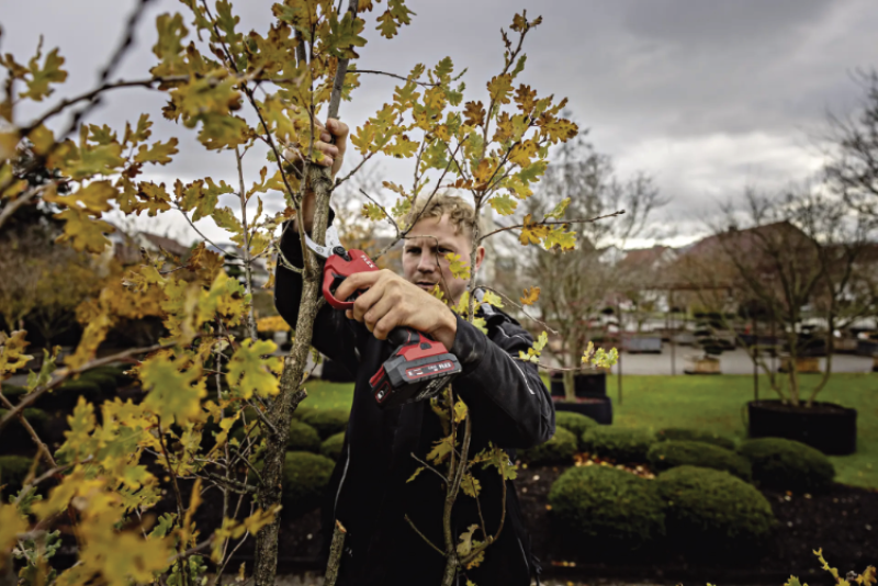 Flex 18V Akku Gartenschere SET